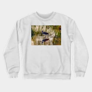 Immature White Ibis at Sunrise Crewneck Sweatshirt